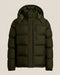 Company Olive